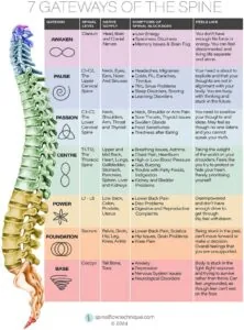 Spinal Flow